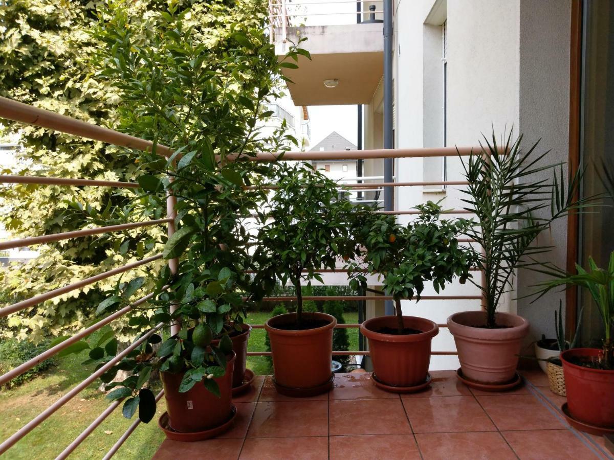 Mandarin Wellness Apartman Siofok Dış mekan fotoğraf